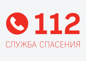За прошедшую неделю в Раменском городском округе по системе-112 поступило 7410 обращений