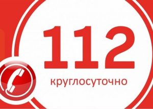 За прошедшую неделю в Раменском г.о. по системе-112 поступило 7915 обращений