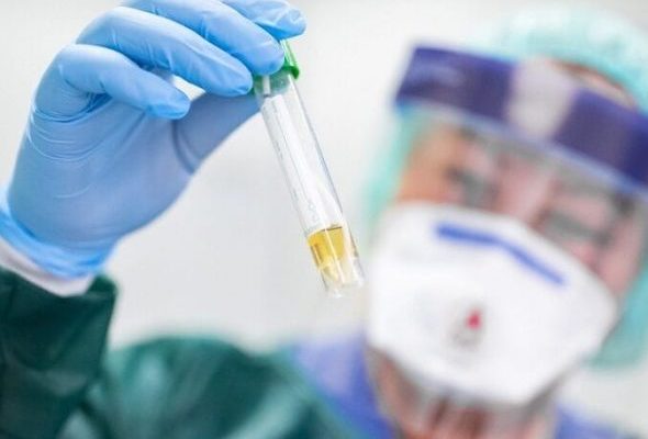 Ситуация с распространением коронавирусной инфекцией в Раменском городском округе по-прежнему остается напряженной