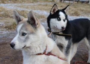 Раменский этнокультурный комплекс вошел в топ-8 идей, куда сходить с ребенком на каникулах в Подмосковье
