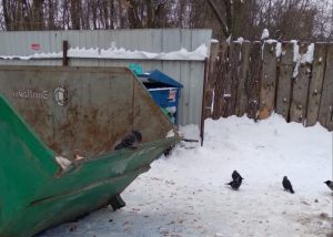 График уборки контейнерной площадки на территории п.Красный Октябрь выполняется четко