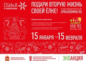 Подарите своей елке вторую жизнь — сдайте ее на переработку