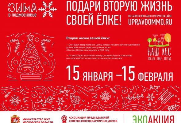 Подарите своей елке вторую жизнь — сдайте ее на переработку