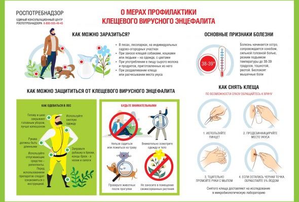 Проблема заболеваемости инфекциями, передаваемыми через укусы клещей, продолжает оставаться крайне актуальной