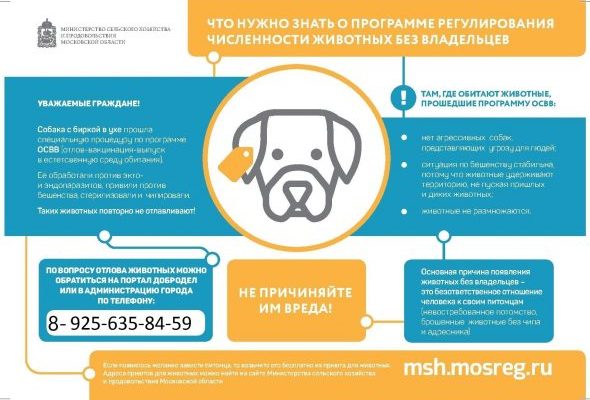 В Подмосковье работает программа регулирования численности животных без владельцев