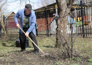 К областному субботнику присоединится и Раменский округ
