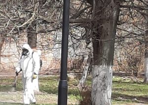 МБУ «Содержание и благоустройство» проводит противоклещевую обработку в местах массового отдыха населения на территории Раменского городского округа