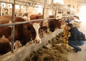 Раменский округ занимает 1 место по производству сельхозпродукции