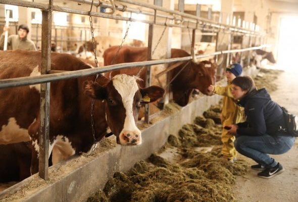 Раменский округ занимает 1 место по производству сельхозпродукции