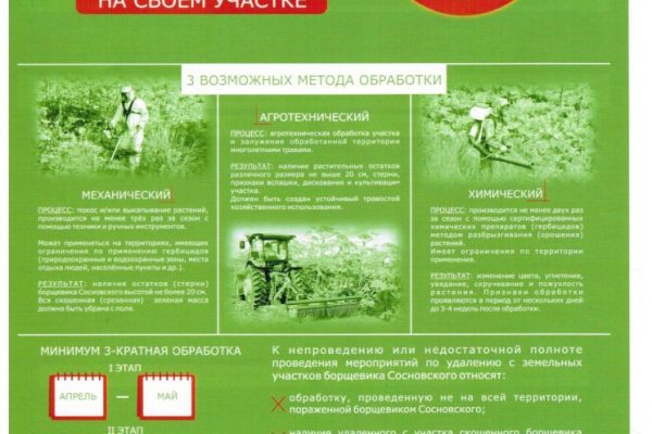 Памятка по удалению борщевика сосновского