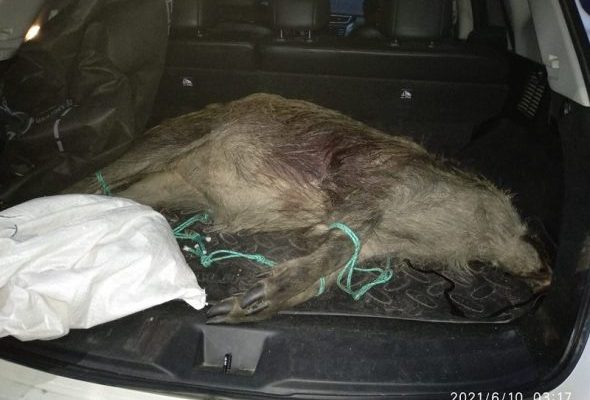 В Раменском задержаны браконьеры-арбалетчики