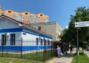 Раменская ветеринарная станция обращает внимание жителей