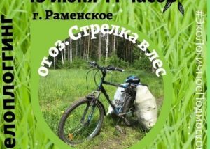 13 июня в 11.00 в микрорайоне Холодово на озере «Стрелка» пройдет субботник