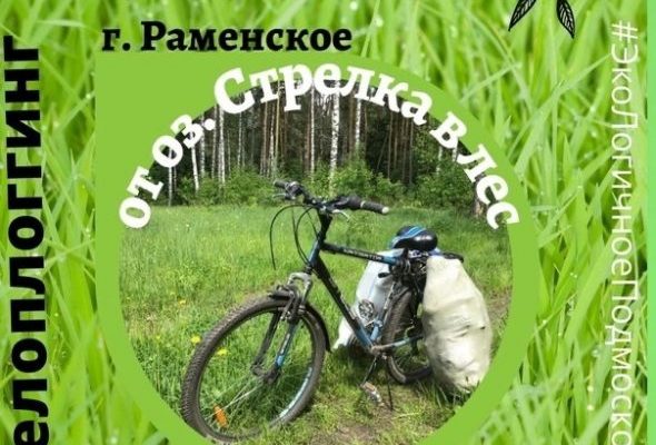 13 июня в 11.00 в микрорайоне Холодово на озере «Стрелка» пройдет субботник
