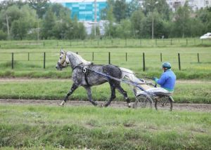 На Раменском ипподроме состоялся конноспортивный праздник