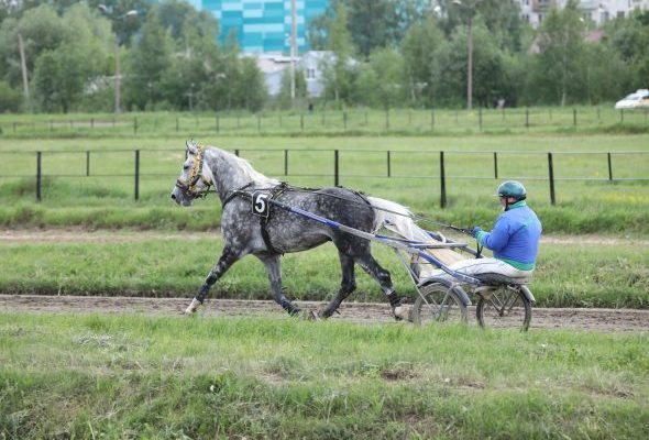 На Раменском ипподроме состоялся конноспортивный праздник