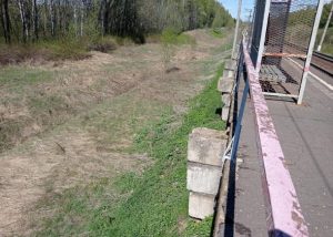 По предписаниям Госадмтехнадзора в Раменском округе окошены территории общего пользования