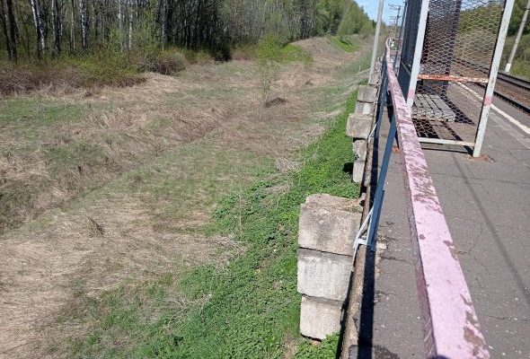 По предписаниям Госадмтехнадзора в Раменском округе окошены территории общего пользования