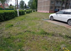 В Раменском округе сотрудниками Госадмтехнадзора выявлены места сброса строительных отходов