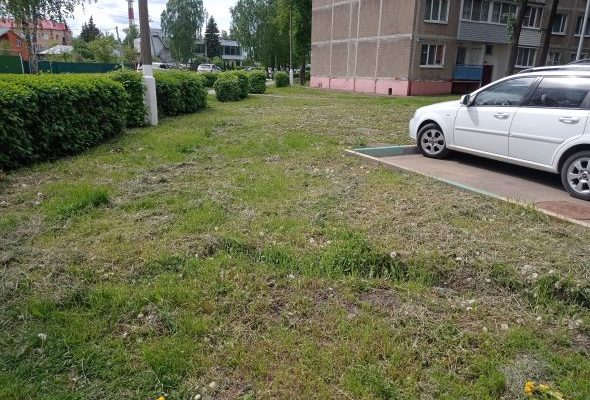 В Раменском округе сотрудниками Госадмтехнадзора выявлены места сброса строительных отходов