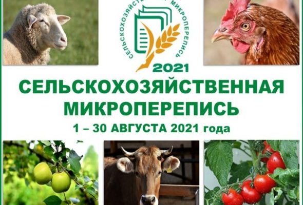 Наиболее активное участие в микропереписи приняли владельцы хозяйств в Раменском и Дмитровском городских округах