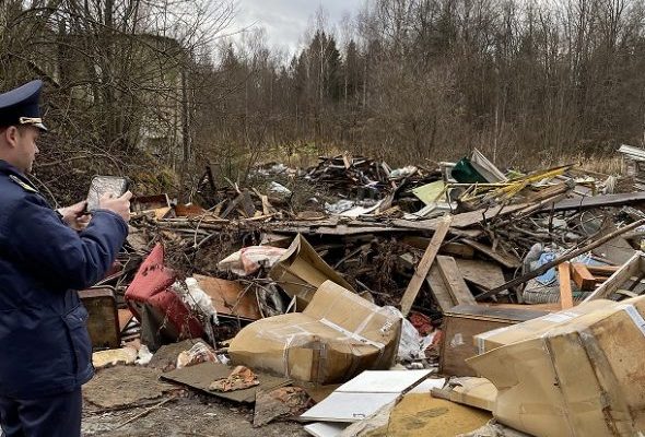 12 несанкционированных свалок ликвидировали в Раменском округе с начала года