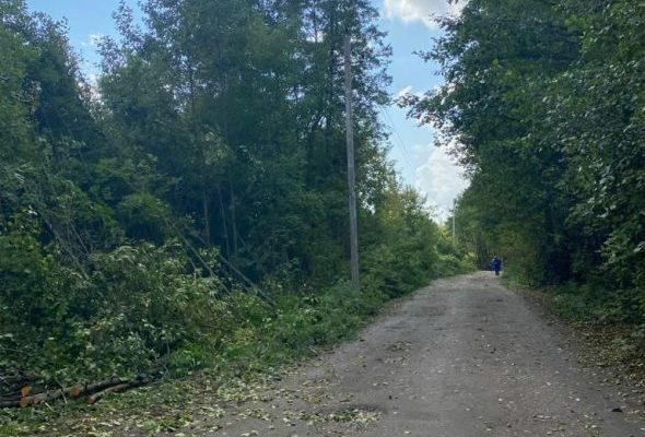 Раменский филиал АО «Мособлэнерго» расчистил охранные зоны ЛЭП в деревнях Вялки и Минино