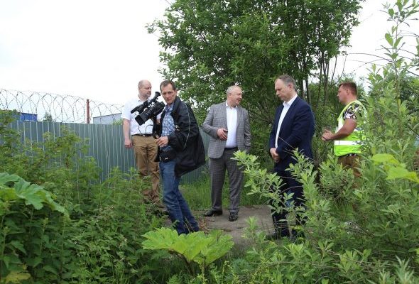 На территории Раменского городского округа борщевиком Сосновского поражено 350 га земли