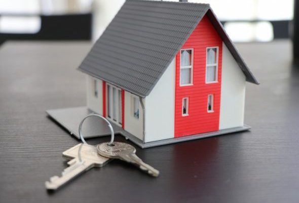 В Раменском городском округе на кадастровый учет поставили 12 объектов