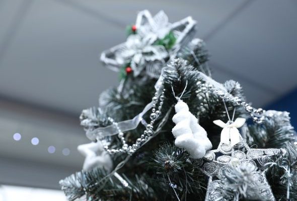 О правилах безопасной установки новогодней елки