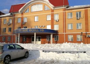 С 2022 года через Пенсионный фонд Российской Федерации предоставляются следующие меры социальной поддержки