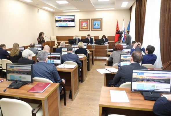 Светлана Белкина рассказала о работе портала Раменского городского округа