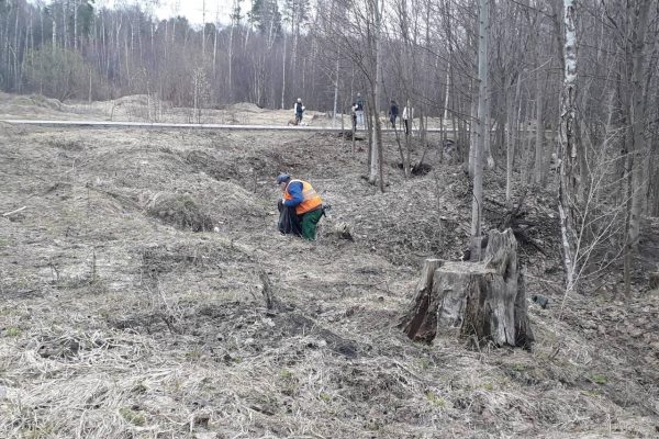 Помощь по уборке мусора