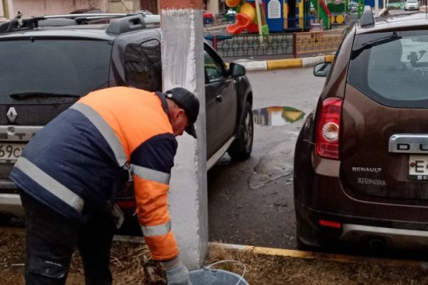 День открытых дверей состоялся в Центральной Раменской библиотеке