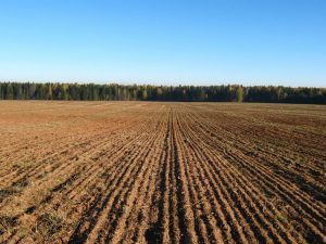 В Раменском округе выделили земельные участки для реализации проектов по импортозамещению