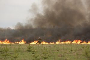 Учения по борьбе с пожарами и защите населенных пунктов прошли 27 апреля в Раменском округе