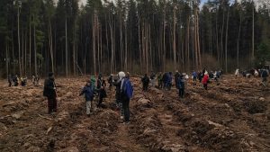 30 апреля в Раменском округе прошла региональная акция «Лес Победы»