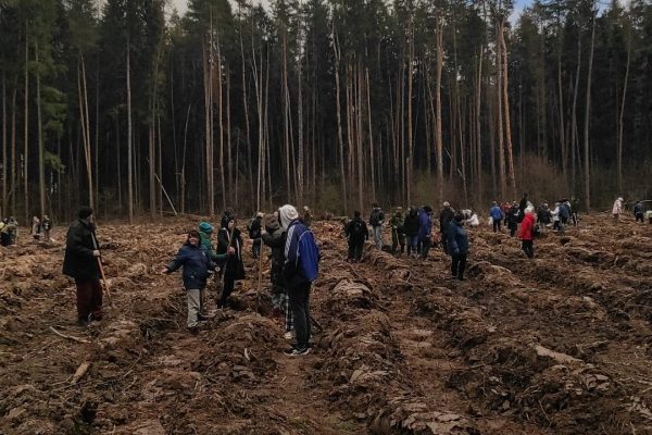 30 апреля в Раменском округе прошла региональная акция «Лес Победы»