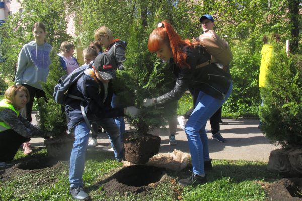 На бульваре Космонавтов в микрорайоне Холодово высадили зеленую аллею