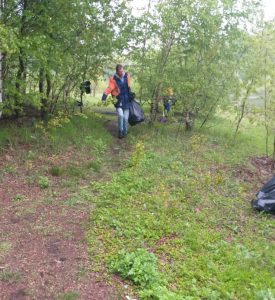 Чистота и порядок на берегу озера