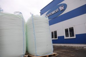 Заявка одобрена — «Евромол» получил землю за 1 рубль