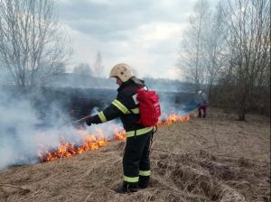 48 очагов пала травы потушили за сутки пожарные ГКУ МО «Мособлпожспас»