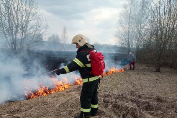 48 очагов пала травы потушили за сутки пожарные ГКУ МО «Мособлпожспас»