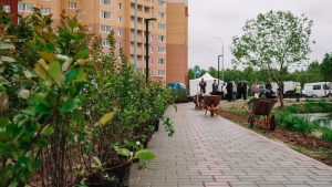 В ЖК «Новые Островцы» состоялся субботник по озеленению и благоустройству Баулинского пруда