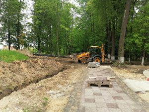 Взгляд внутрь: что происходит в парке