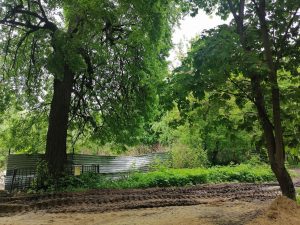 01.06.2022г. в эфире Нового Раменского радио