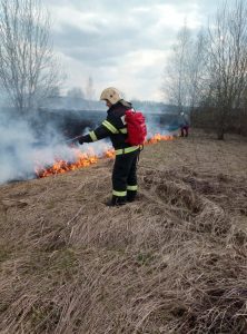 8 июня вступает в силу федеральный закон «О внесении изменений в Кодекс Российской Федерации об административных правонарушениях»