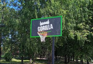 Турнир по стритболу пройдет в Раменском