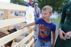 В воскресенье, 17 июля, в с. Карпово состоялся православный семейный фестиваль «Ромашковое поле»
