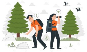 За грибами и ягодами: отправляемся в лес безопасно